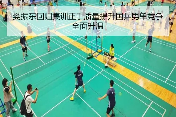 樊振东回归集训正手质量提升国乒男单竞争全面升温